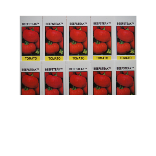 Tomato Plant, Beefsteak