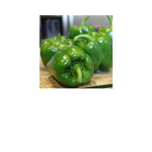 Pepper Plant, Better Belle