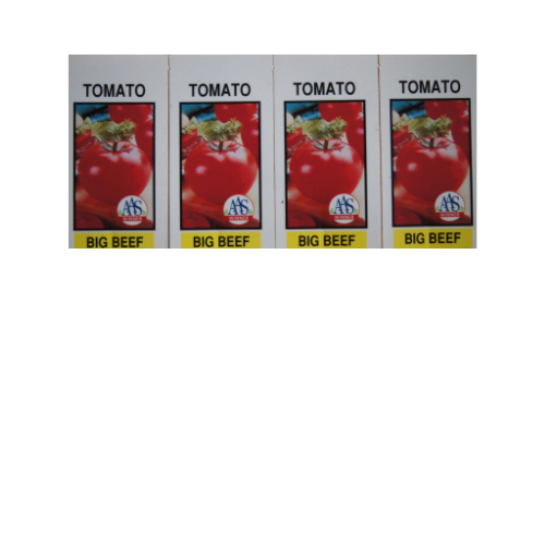 Tomato Plant, Big Beef