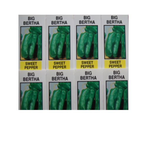 Pepper Plant, Big Bertha