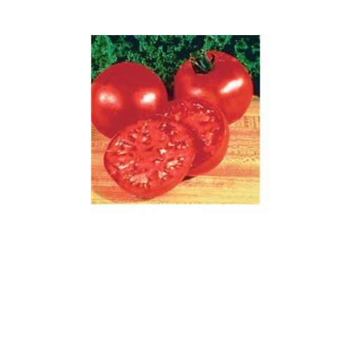 Tomato Plant, Big Boy