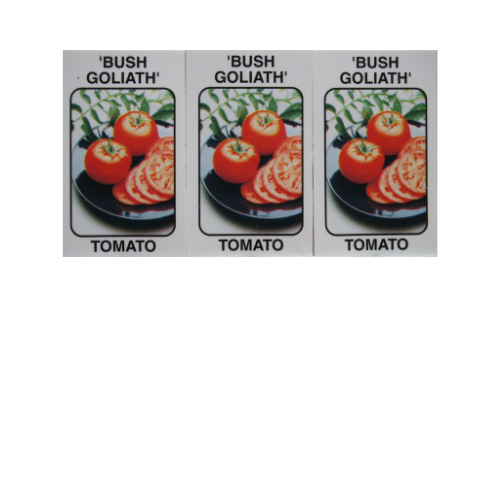 Tomato Plant, Bush Goliath