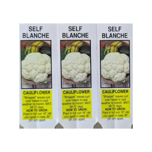 Cauliflower, Self blanching
