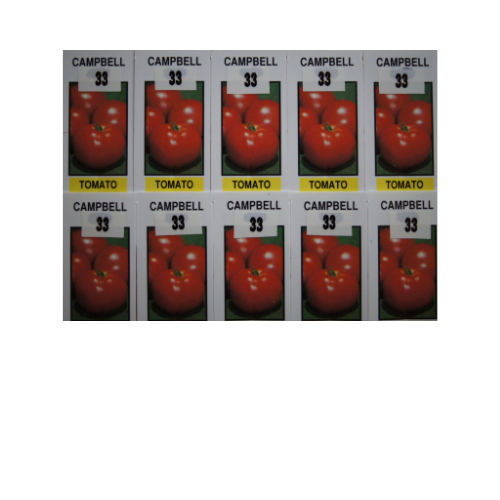 Tomato Plant, Campbell's 33