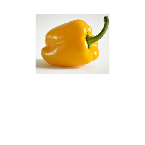 Pepper Plant, Early Sunsation