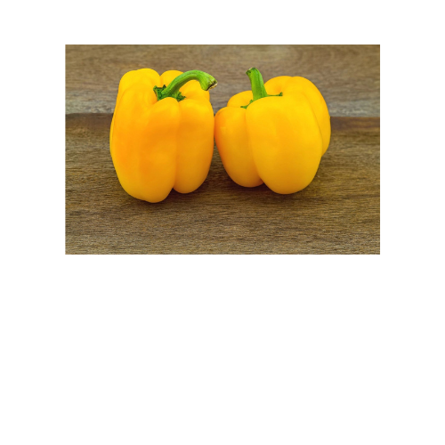 Pepper Plant, Golden California Wonder