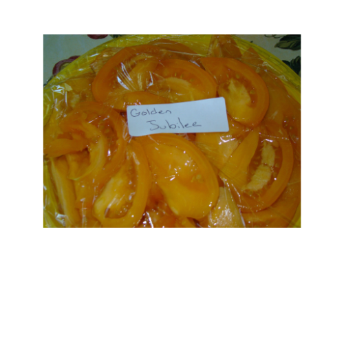 Tomato Plant, Golden Jubilee