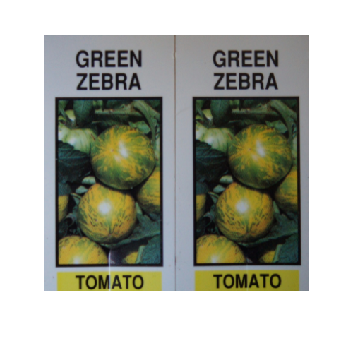 Tomato Plant, Green Zebra