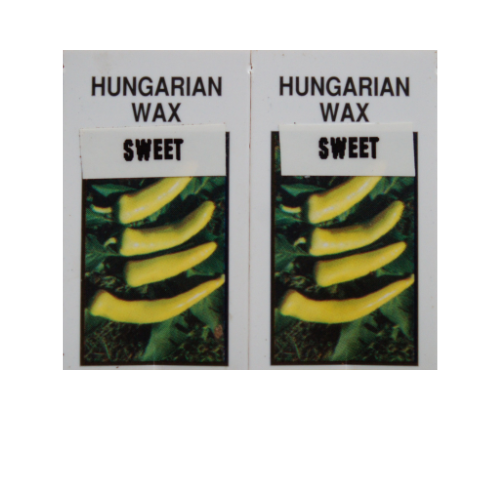 Pepper Plant, Hungarian Sweet Wax