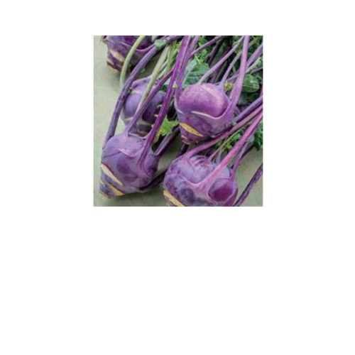 Kohlrabi, Vienna Purple