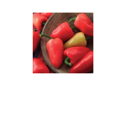 Pepper Plant, Mariachi