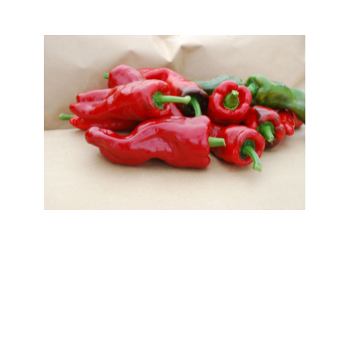 Pepper Plant, Melrose