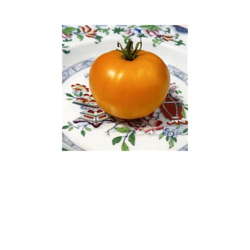 Tomato Plant, Nebraska Wedding