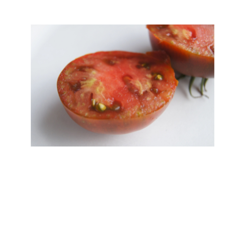 Tomato Plant, Paul Robeson