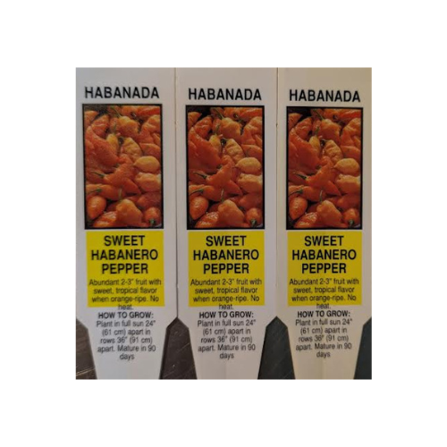 Pepper Plant, Habanada