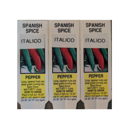Pepper Plant, Italico (Spanish Spice)