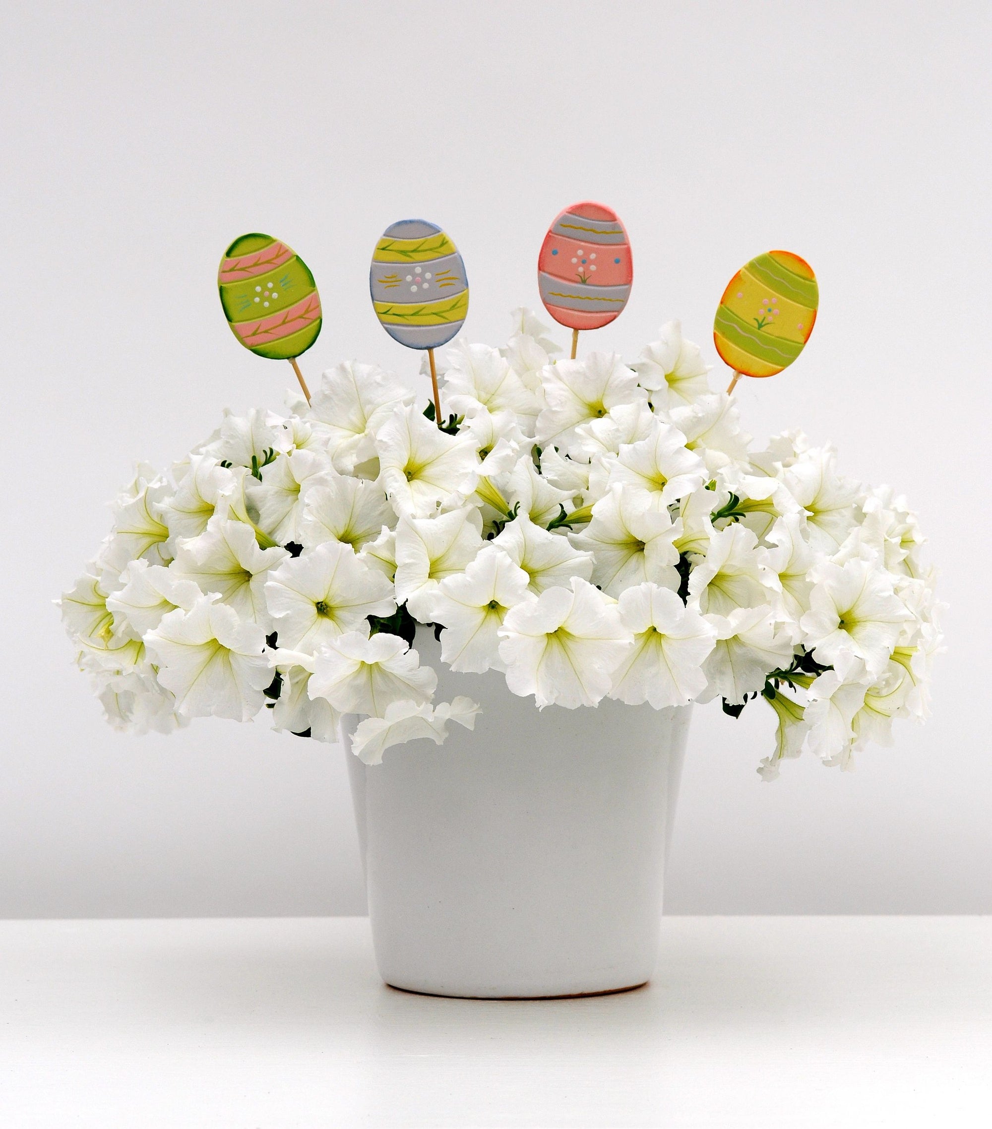 Petunia, Easy Wave® White