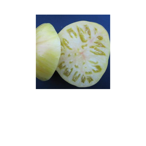 Tomato Plant, Pineapple Pig