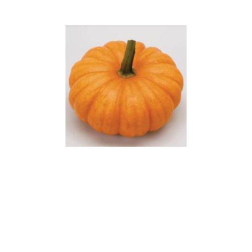 Pumpkin, Jack Be Little