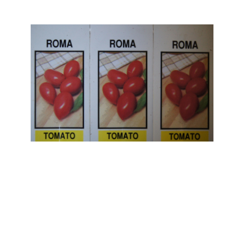 Tomato Plant, Roma