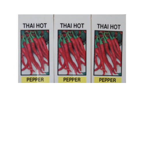 Pepper Plant, Thai Hot