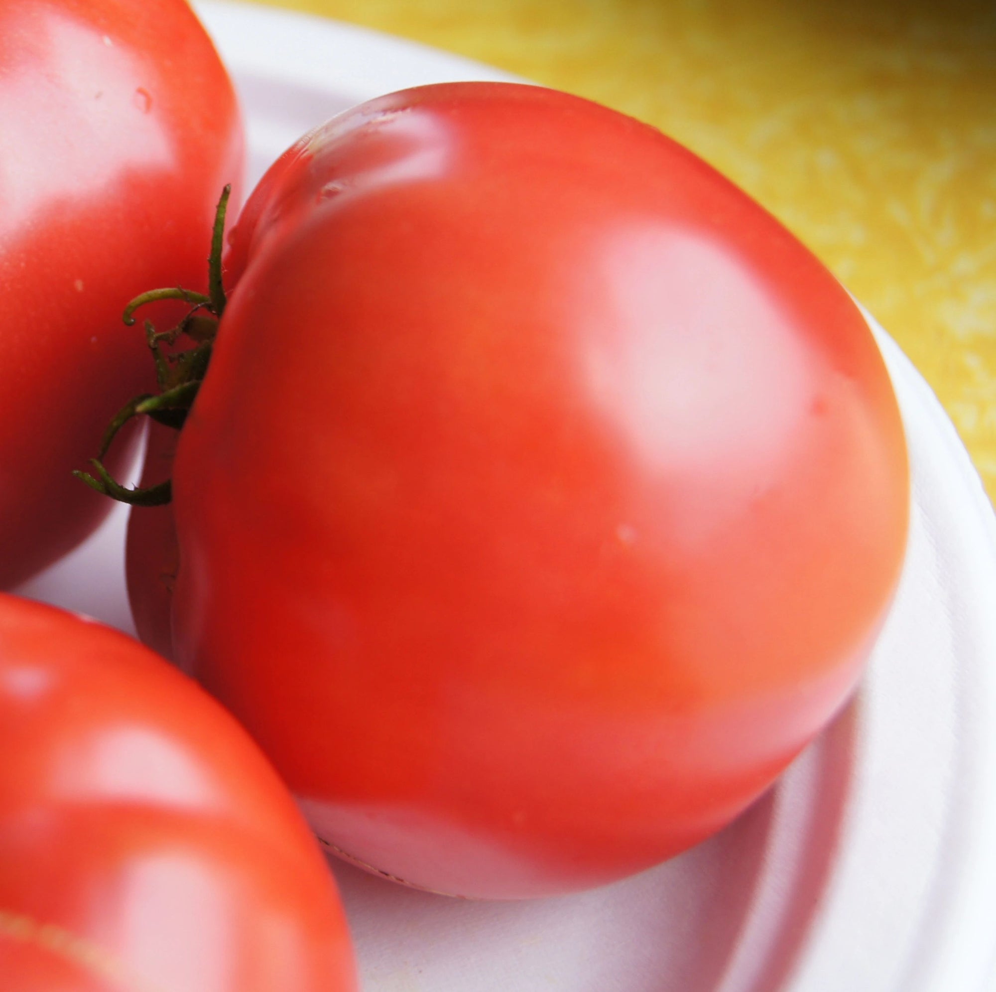 Tomato Plant, Wins All