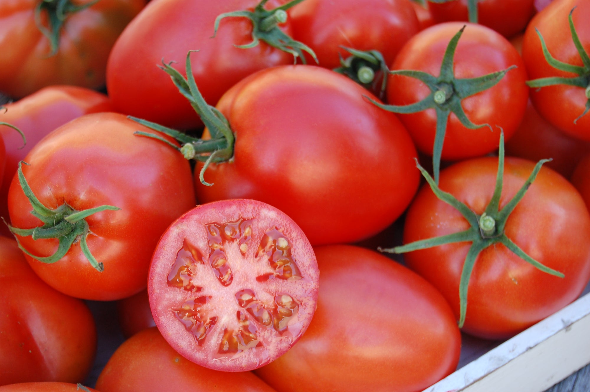 Tomato Plant, Amish Paste
