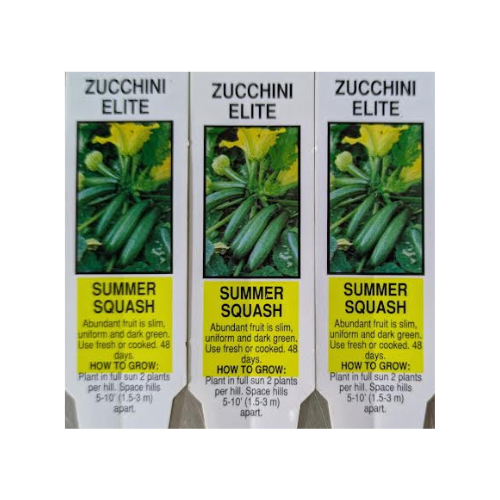 Squash, Zucchini Elite