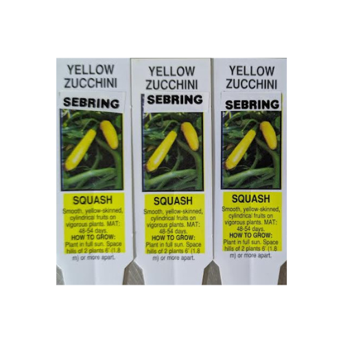 Squash, Zucchini Sebring